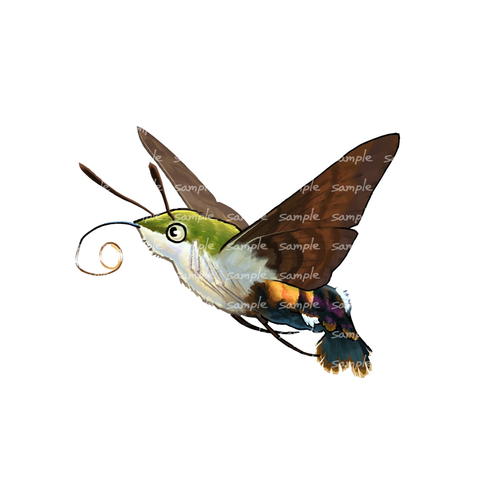 風景と飾るいきものアクスタ【ヒメクロホウジャク】