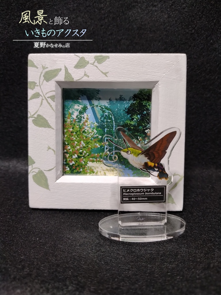 風景と飾るいきものアクスタ【ヒメクロホウジャク】