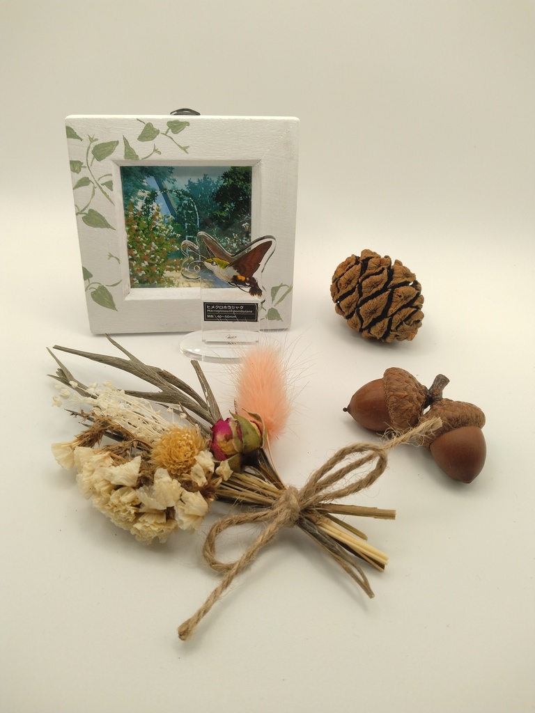 風景と飾るいきものアクスタ【ヒメクロホウジャク】