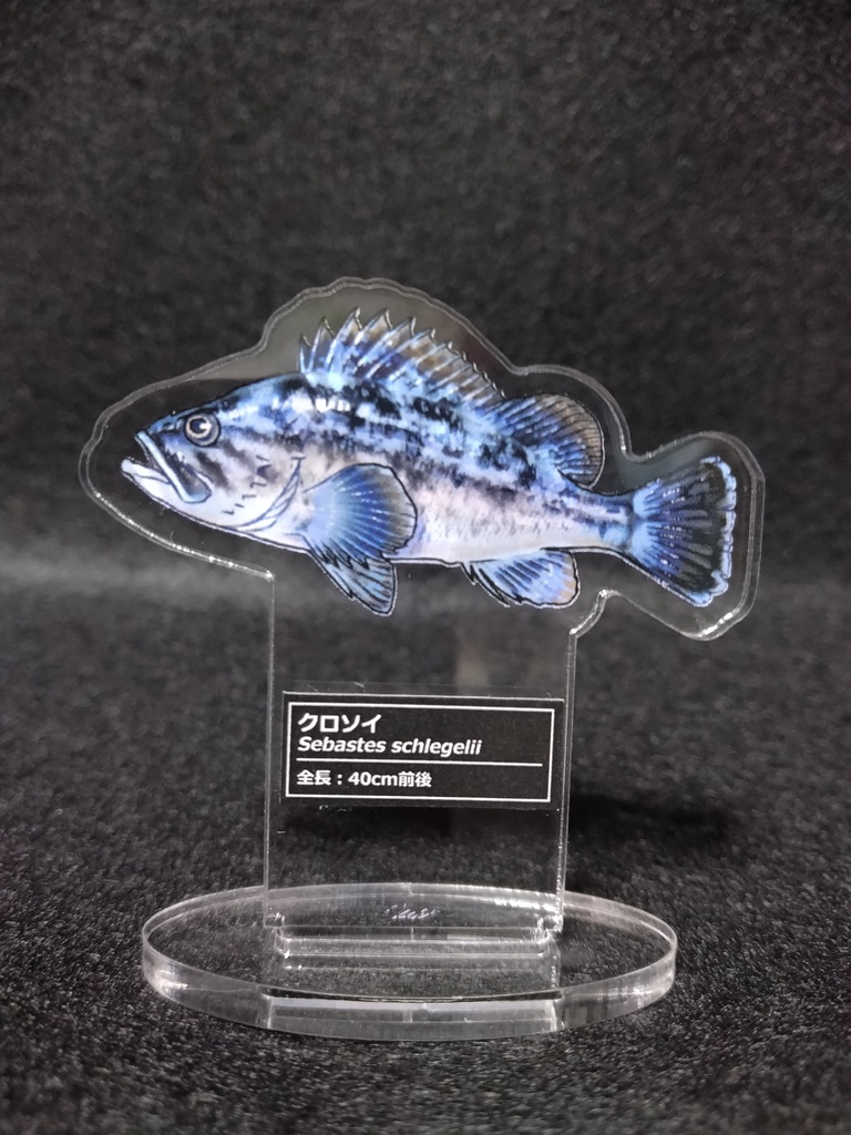 クロソイアクスタ単品