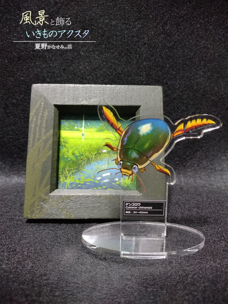 風景と飾るいきものアクスタ【ゲンゴロウ】