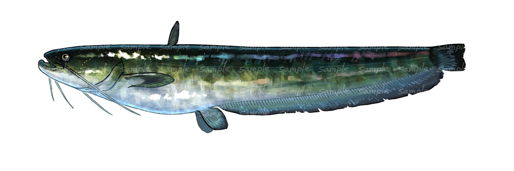 風景と飾るいきものアクスタ【ナマズ】