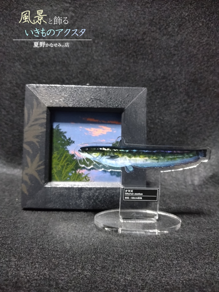 風景と飾るいきものアクスタ【ナマズ】