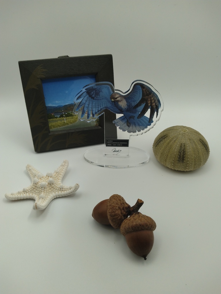 風景と飾るいきものアクスタ【ノスリ】