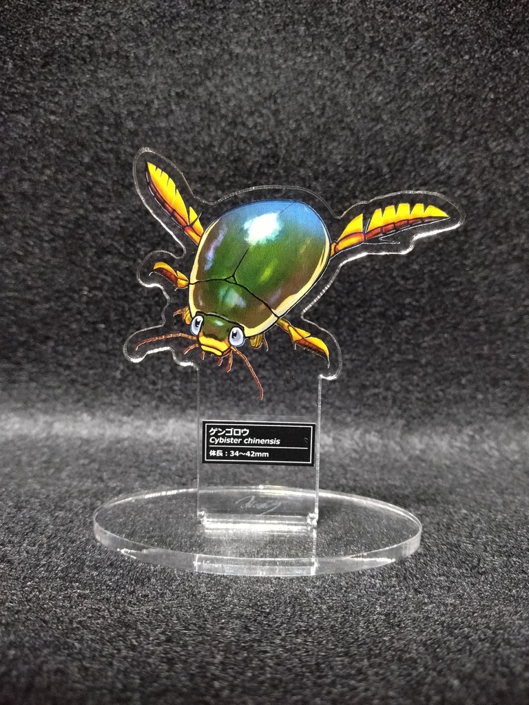 ゲンゴロウアクスタ単品