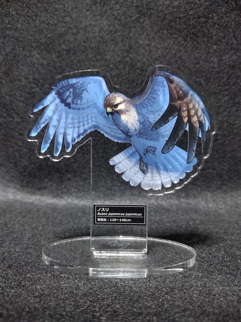 ノスリアクスタ単品