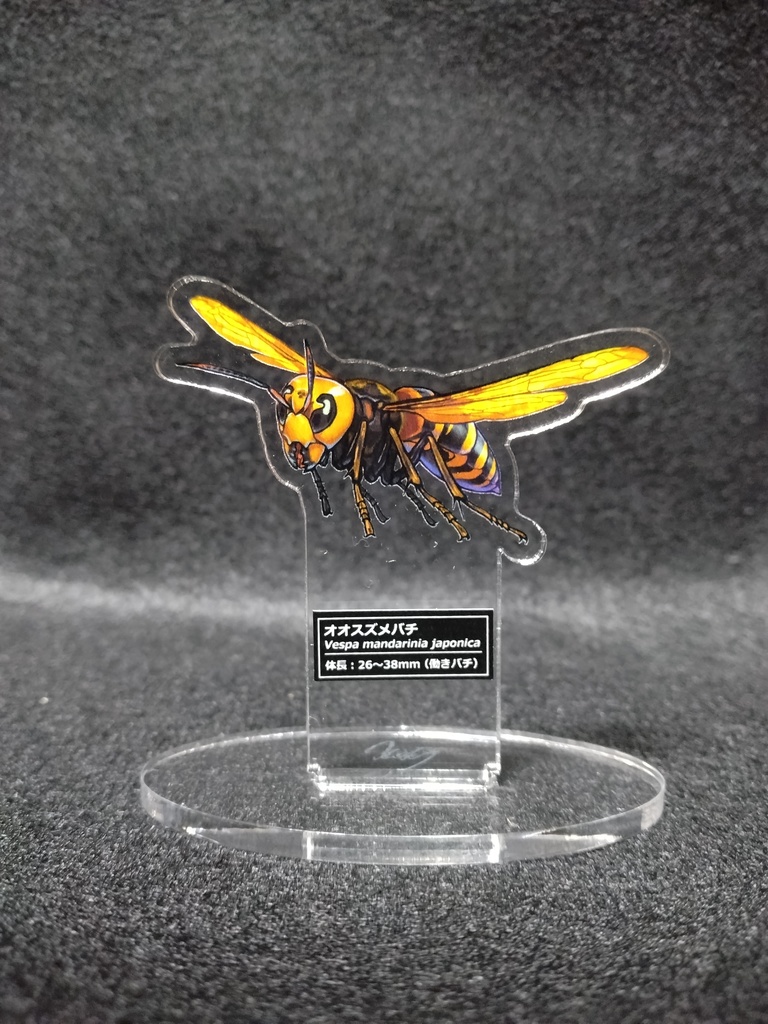 オオスズメバチアクスタ単品