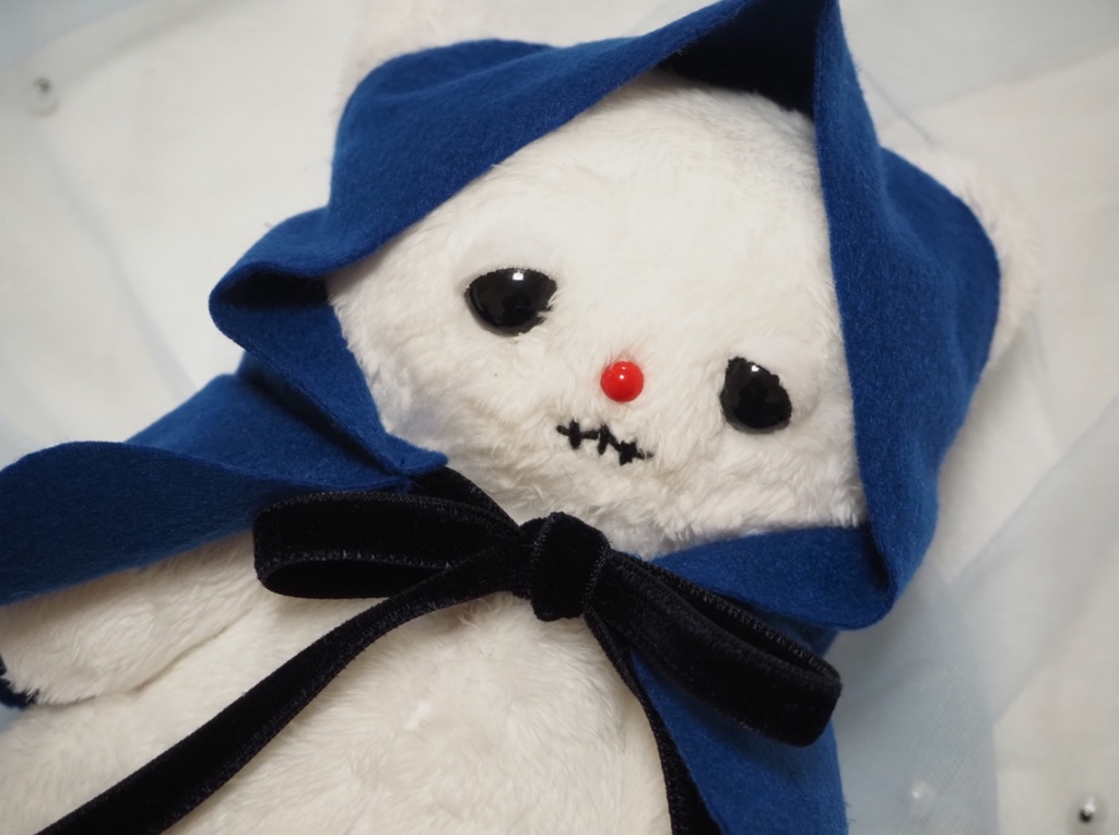 ピーカブー　猫