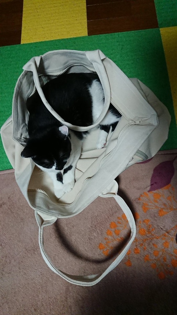 トートバッグ 森久保乃々 佐藤心 依田芳乃 三船美優 大容量バッグ チャック