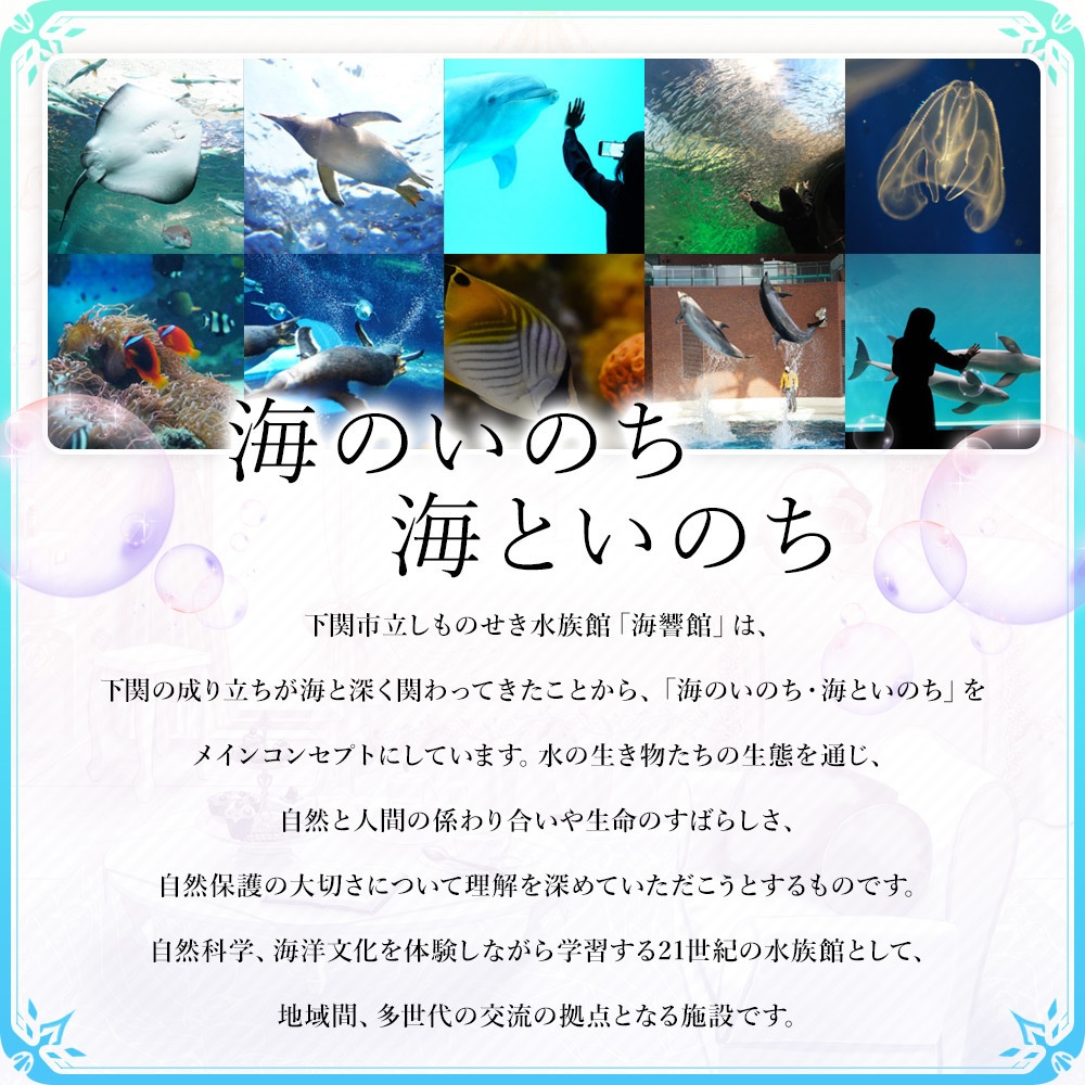 海響館さんのアクアシアターセット【リアル素材プロジェクト】