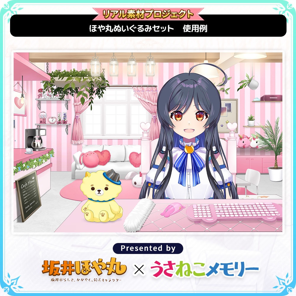 ほや丸ぬいぐるみ【坂井ほや丸コラボ】