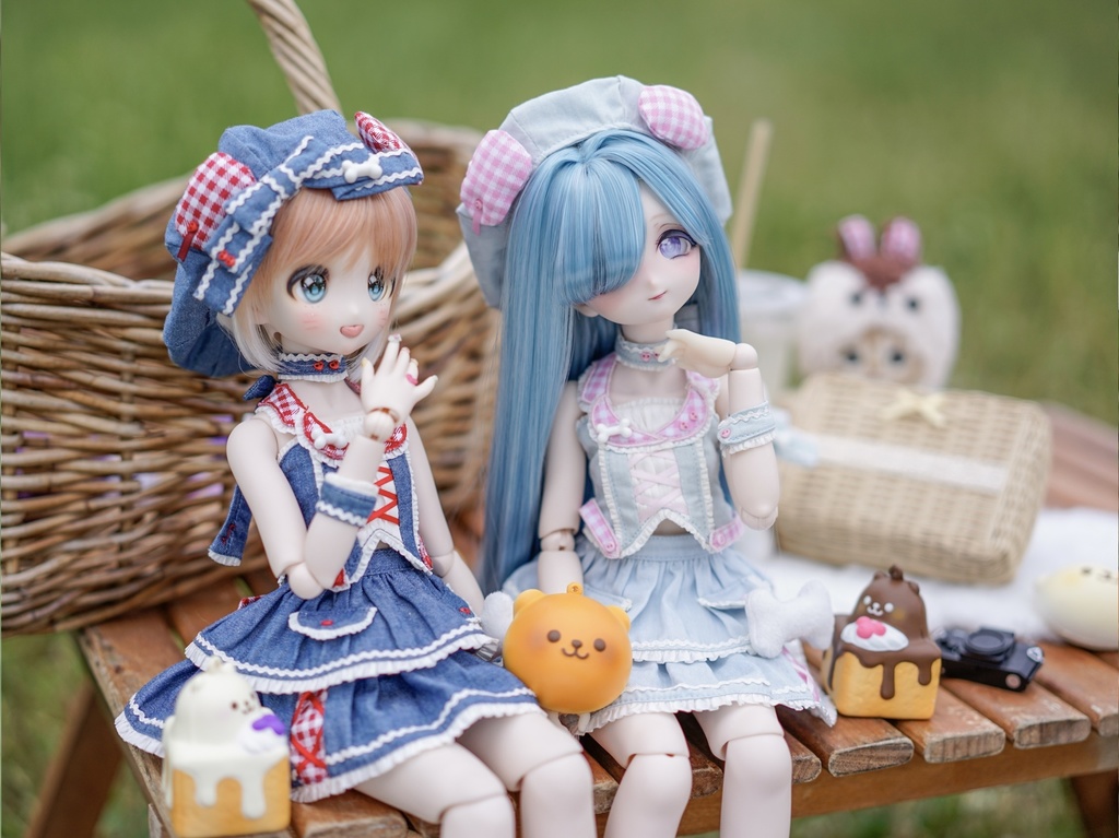 【VIVIAN】MDDサイズ ピクニック♡パピィ🐶