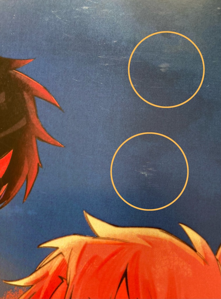 【訳アリ⚠️】しろまの紙本