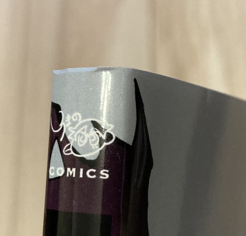 【訳アリ⚠️】しろまの紙本