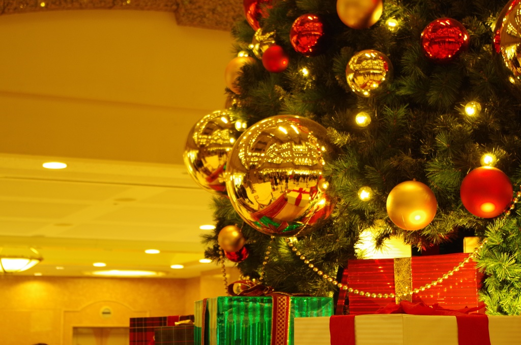 それぞれの恋の話