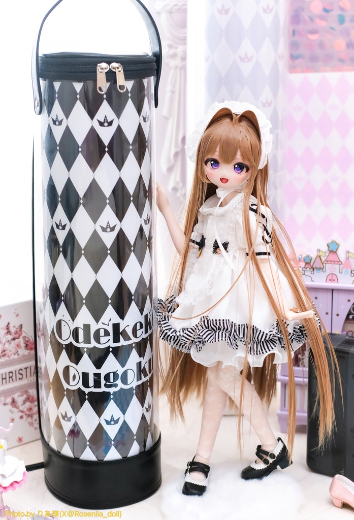 カプセルドールバッグ専用 フロントプレート｜目隠し・背景板　1/4