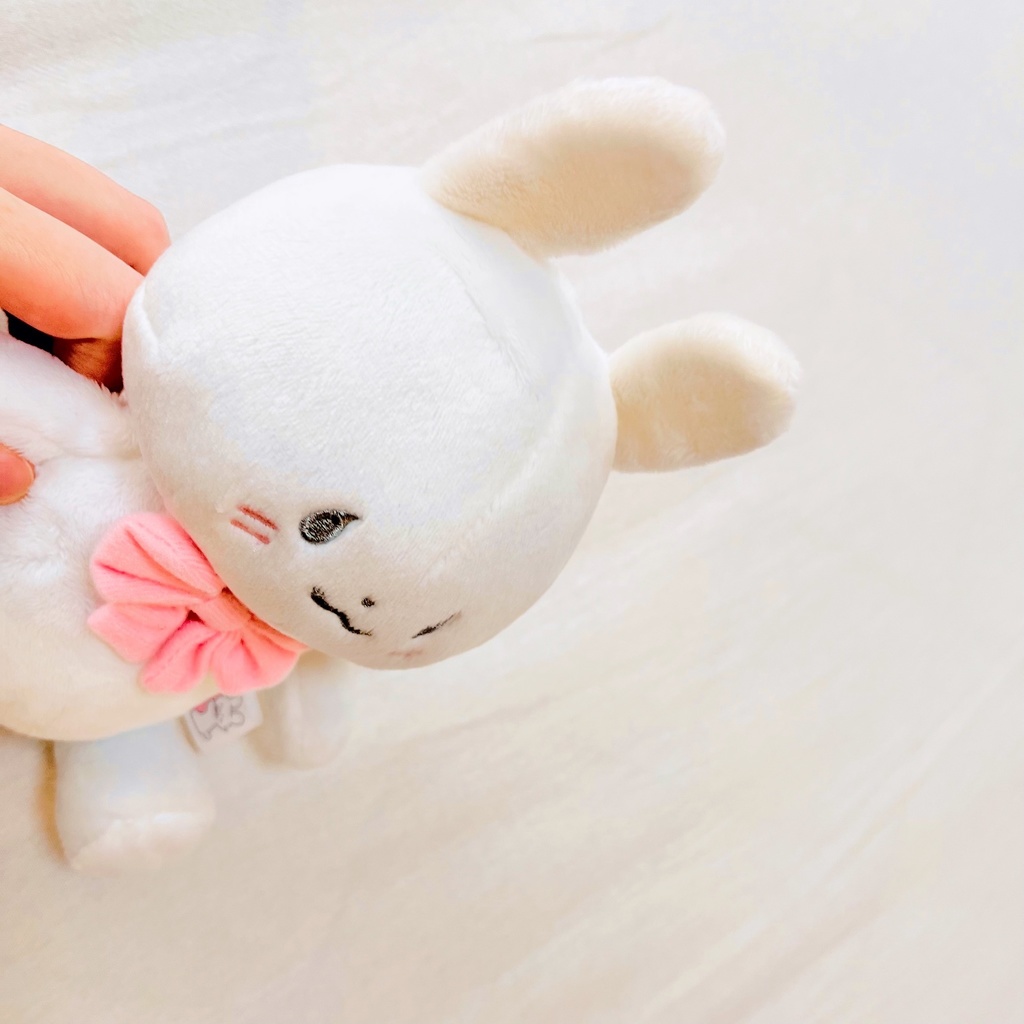 詰め合わせBOX【11月末頃に発送予定】