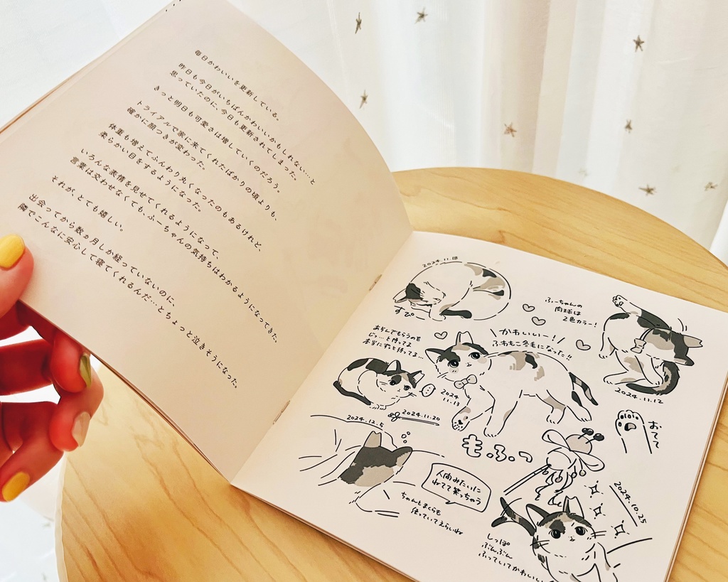 個展の作品集 / グッズセット【商品説明文をご確認ください】