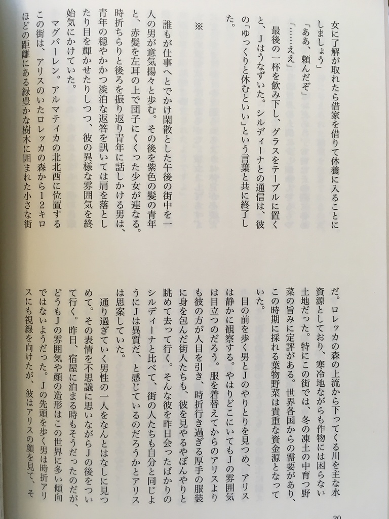 アムネシアと記憶の本 旧表紙版