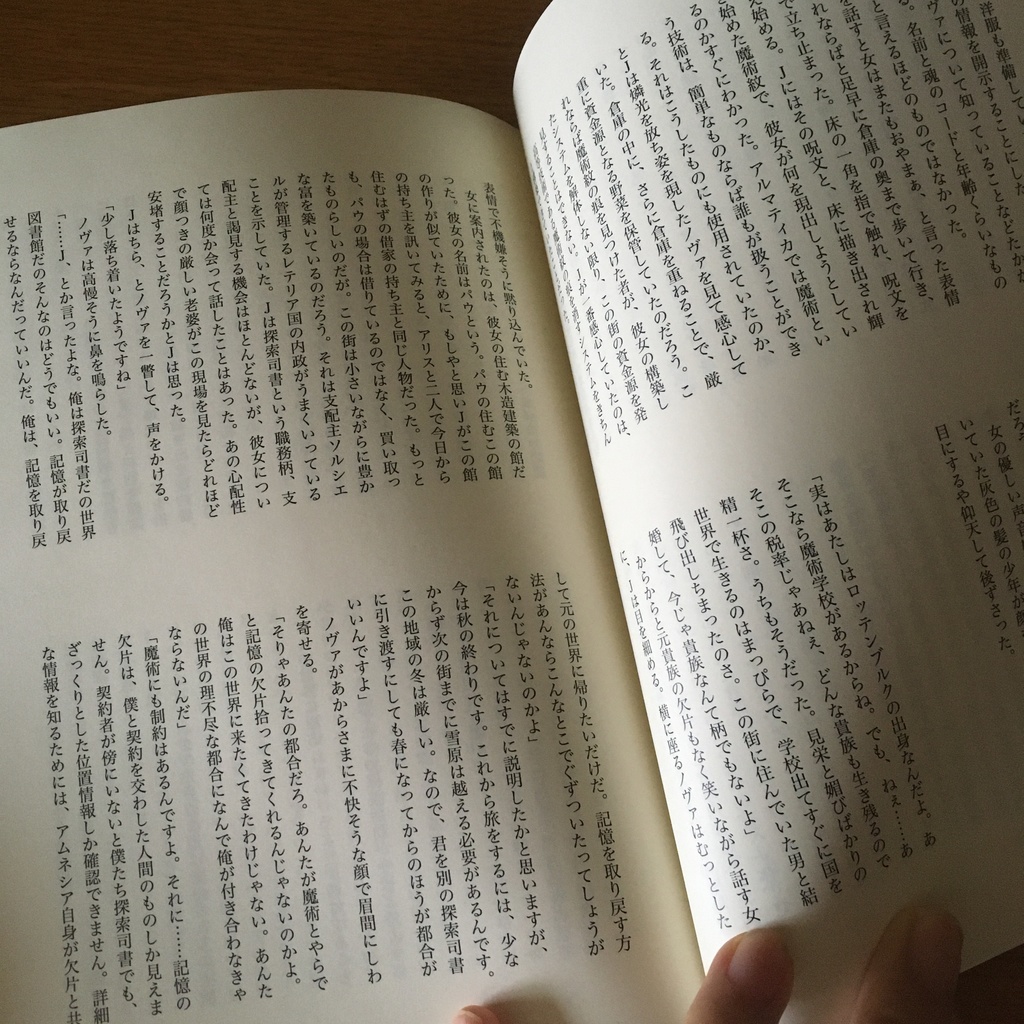 アムネシアと記憶の本 旧表紙版