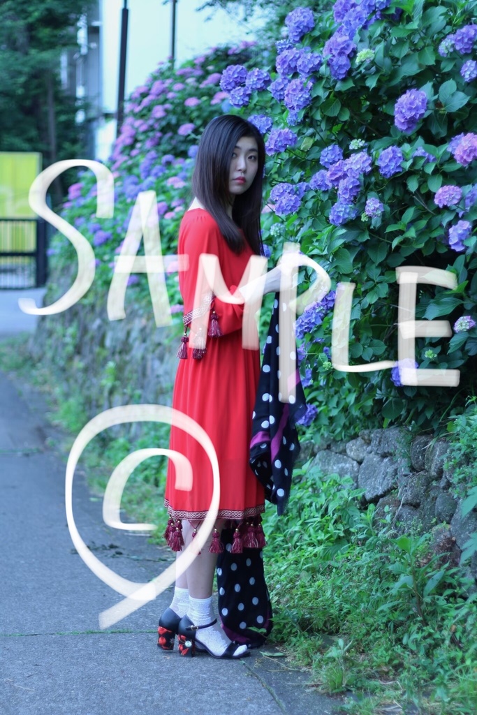 ブロマイド【あじさい】