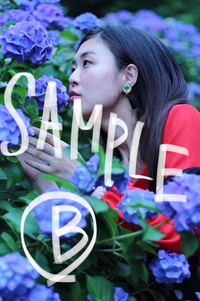 ブロマイド【あじさい】