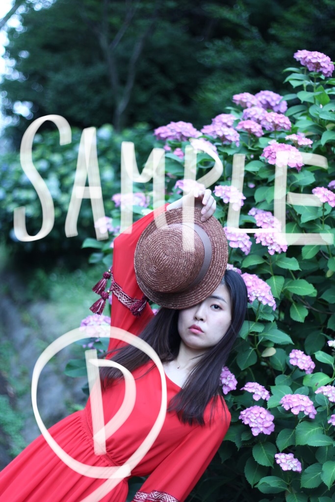 ブロマイド【あじさい】