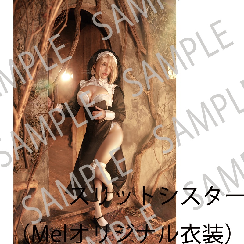 Mel(める)コスプレファンブック