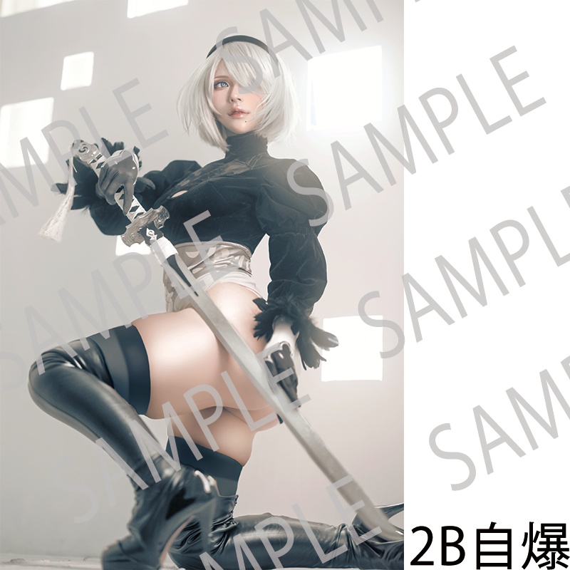 Mel(める)コスプレファンブック