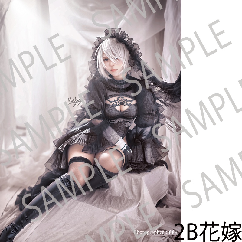 Mel(める)コスプレファンブック