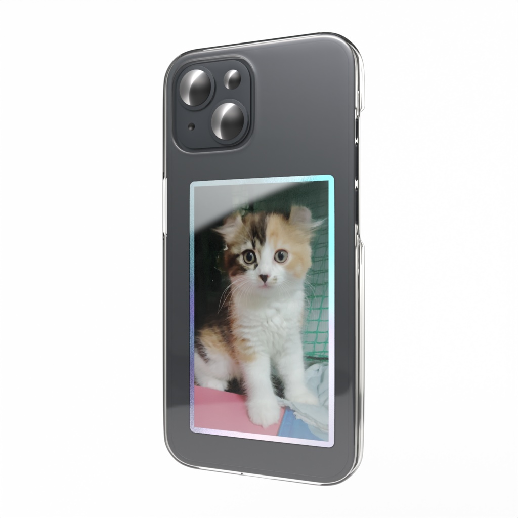 可愛い子猫🐱Aa