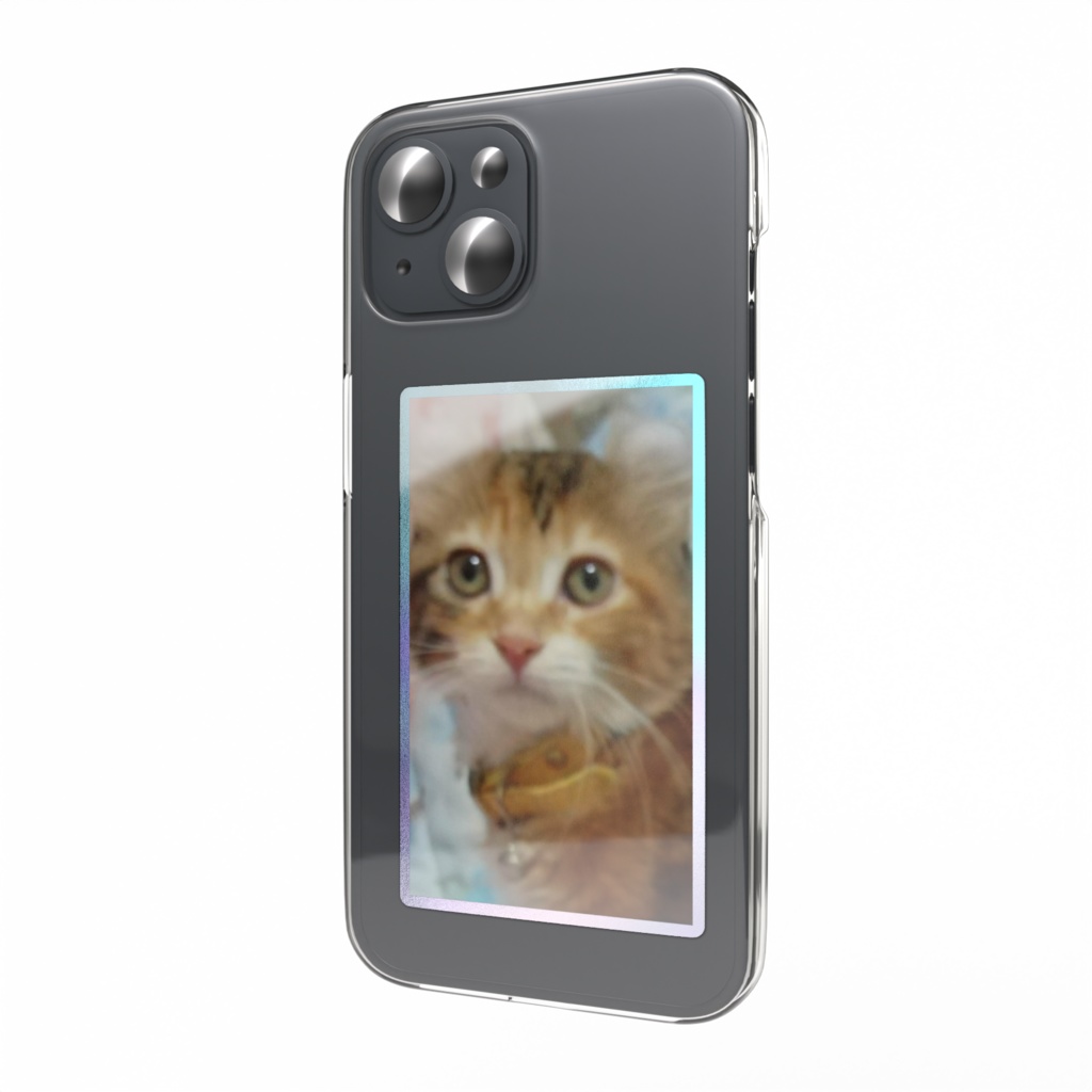 可愛い子猫🐱みA