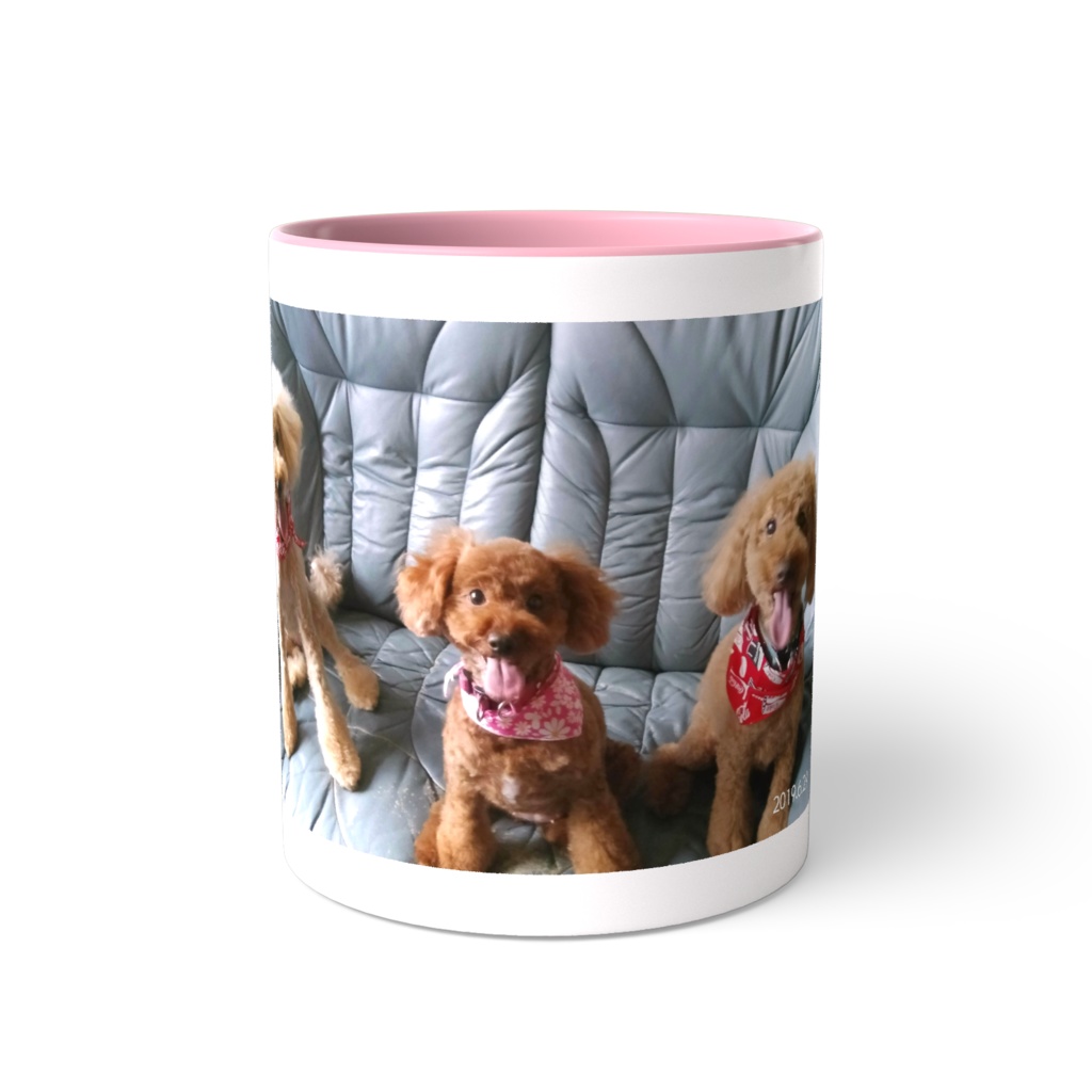 可愛いトイプードル❤3