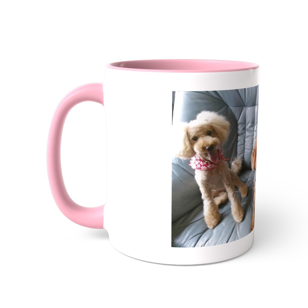 可愛いトイプードル❤3