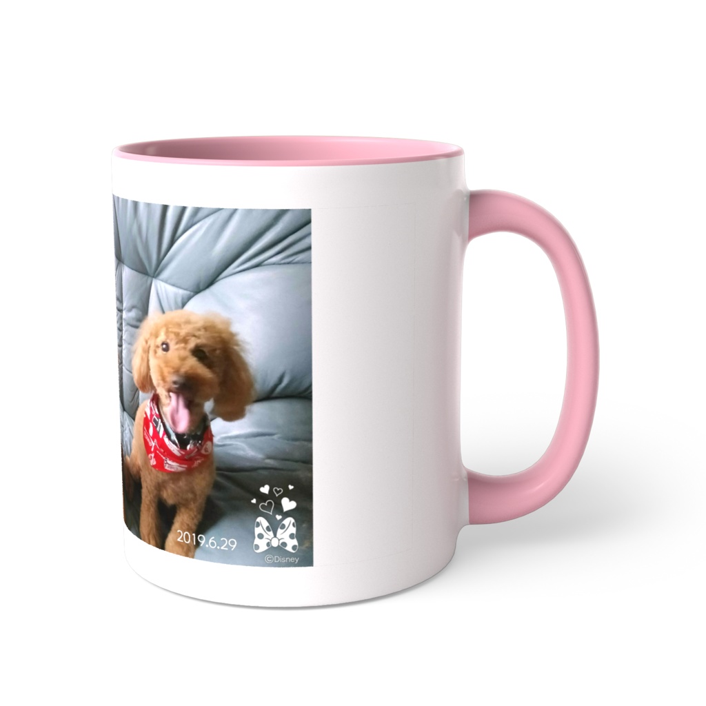 可愛いトイプードル❤3