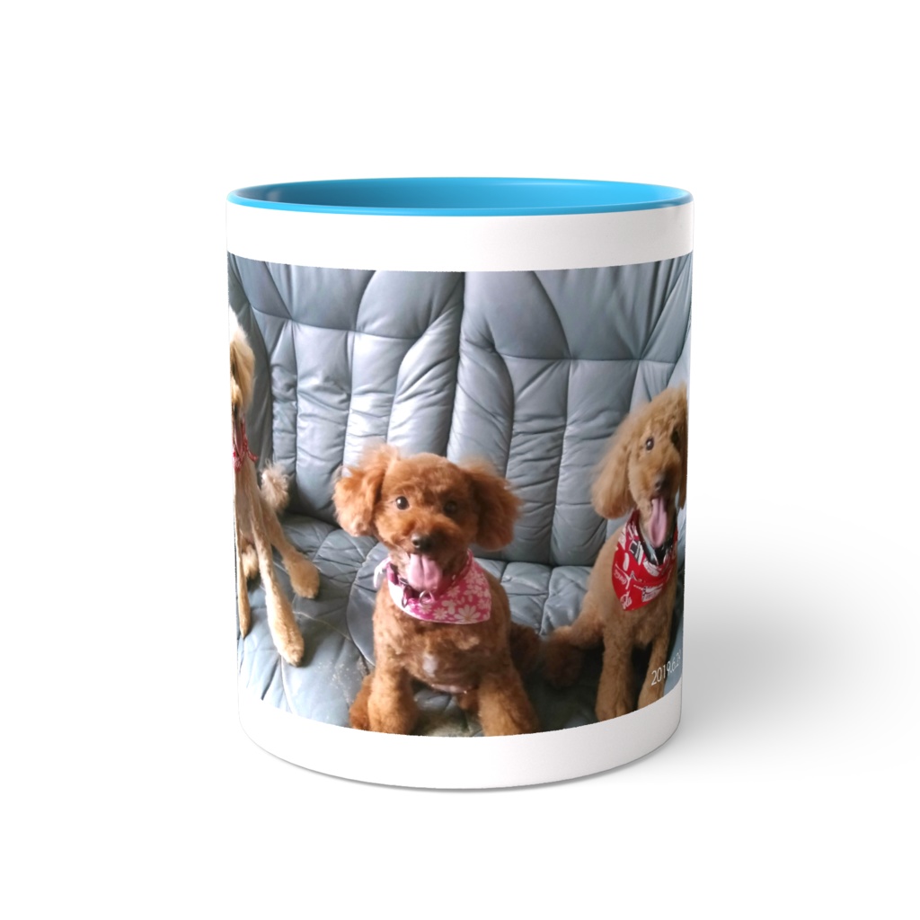 可愛い❤トイプードル❤3匹❤