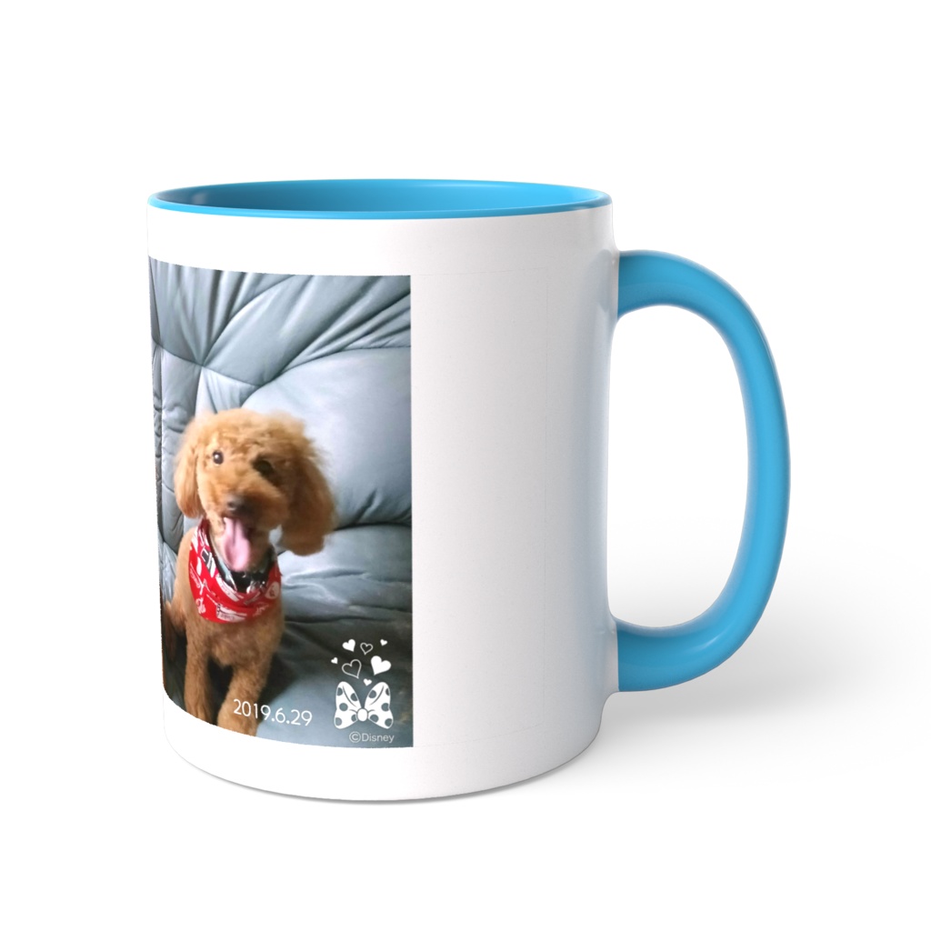 可愛い❤トイプードル❤3匹❤