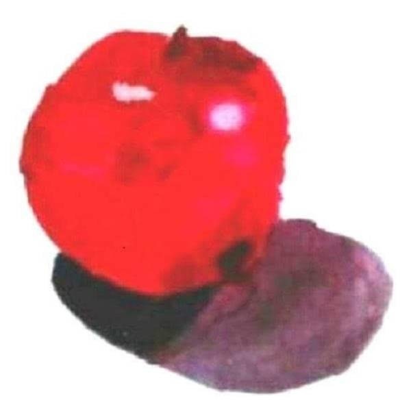 Liyengoロゴキーホルダー