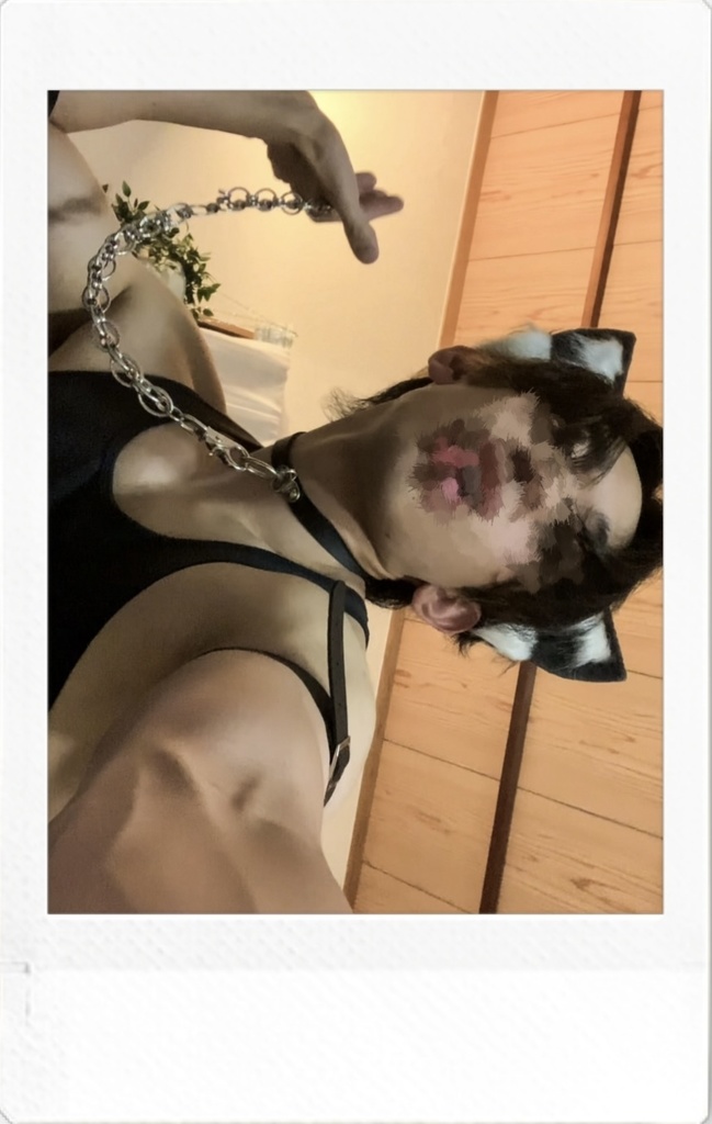 ケモ耳【ランダムチェキ】