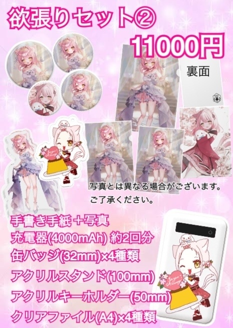 🐱*欲張りセット②(モバイルバッテリー) 11個入り＋手紙and写真🐱*