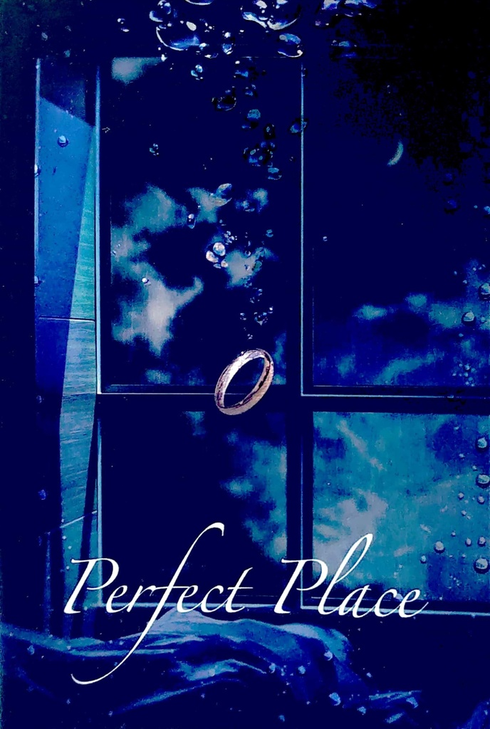 Perfect Place