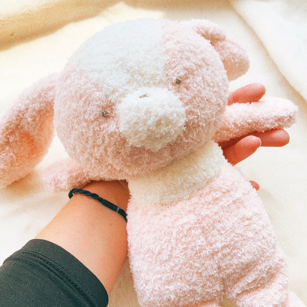 ももいろももちゃん