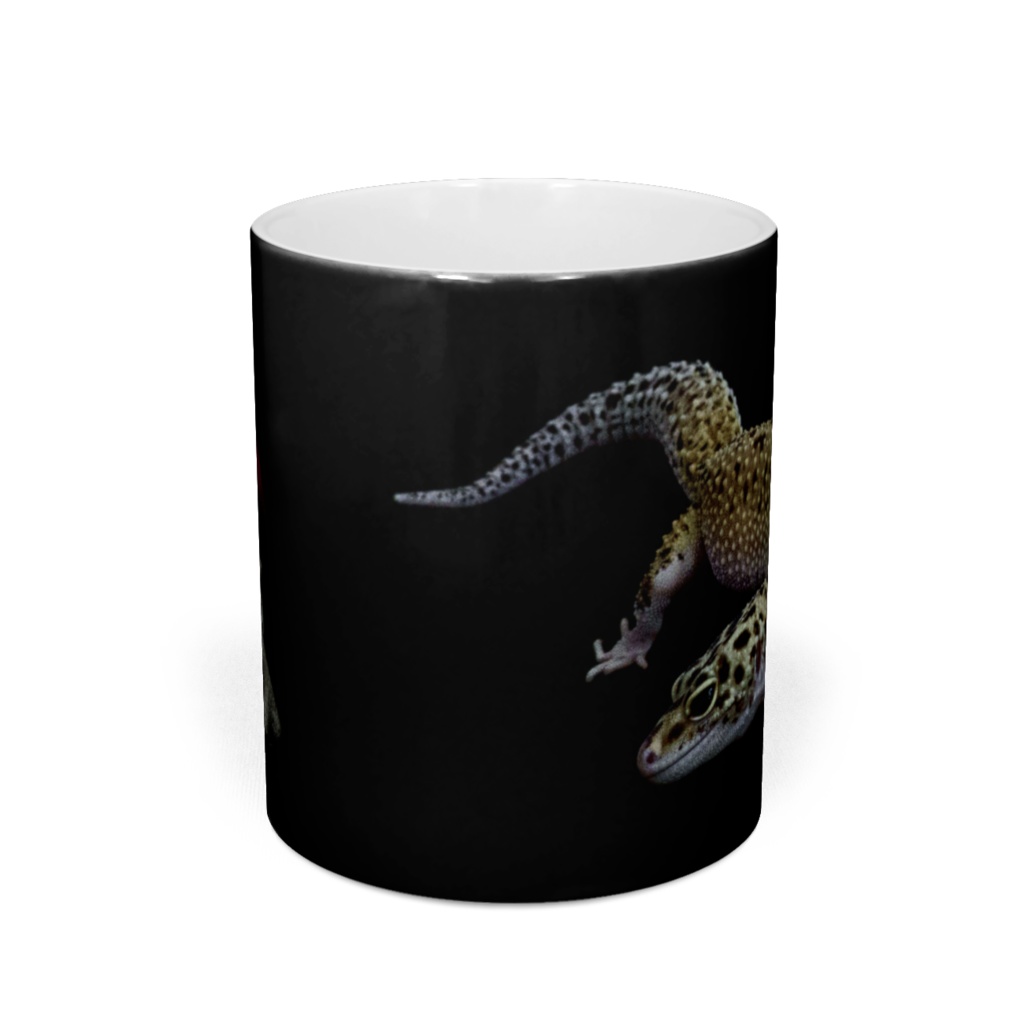 ヤモリとサンゴのマグカップ