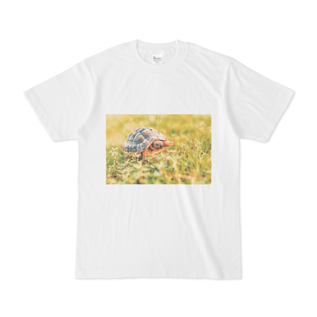 おさんぽリクガメのTシャツ(ホワイト)