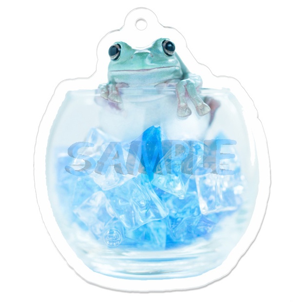 COOL FROG アクリルキーホルダー(ナスカン付き)