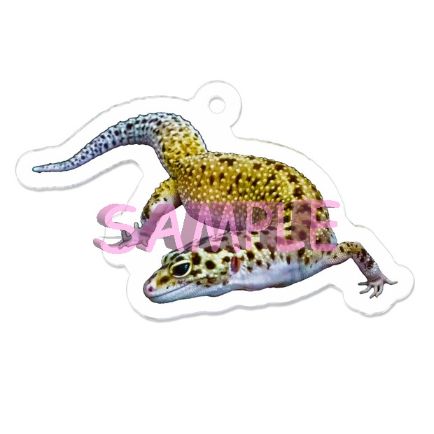 ヒョウモントカゲモドキ アクリルキーホルダー(ナスカン付き)