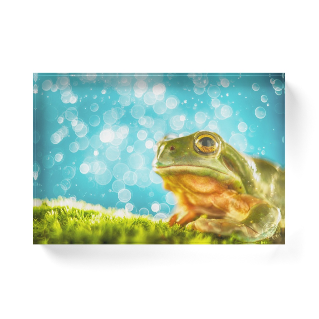 雨だれのワルツ アクリルブロック