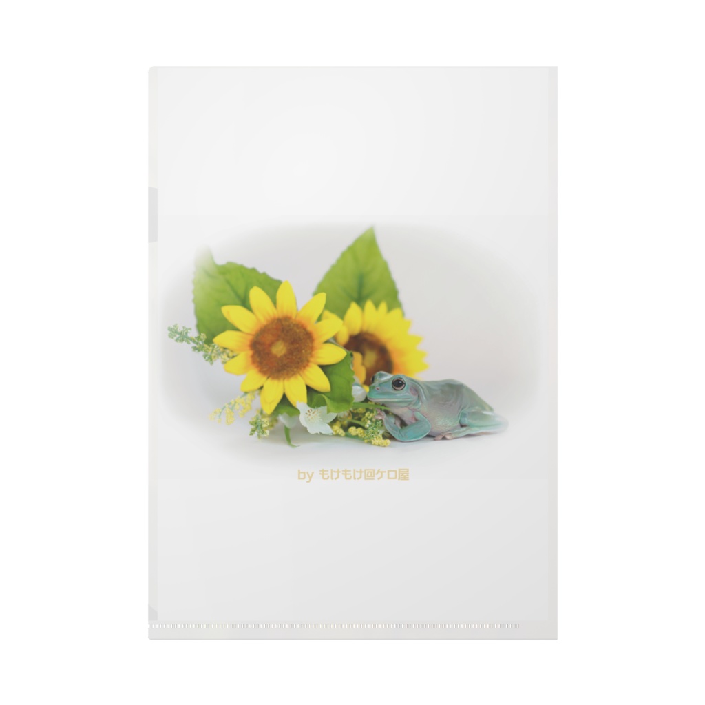 カエル(夏)クリアファイル