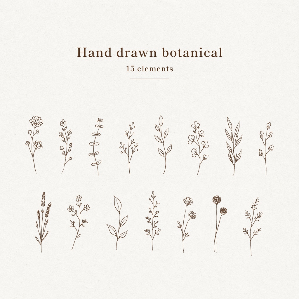 Hand drawn botanical PNG素材(Brown)