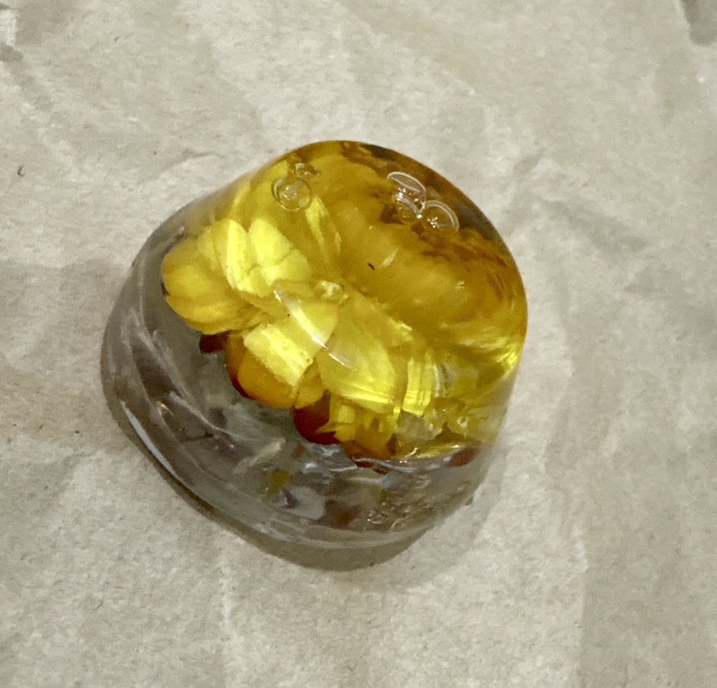 花咲ｸマグネット